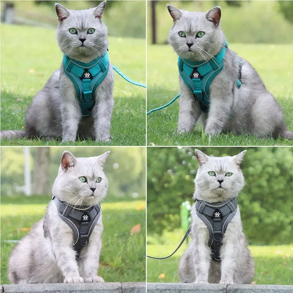 Reflective Harness & Leash Set — Small Dogs & Cats — photo 6