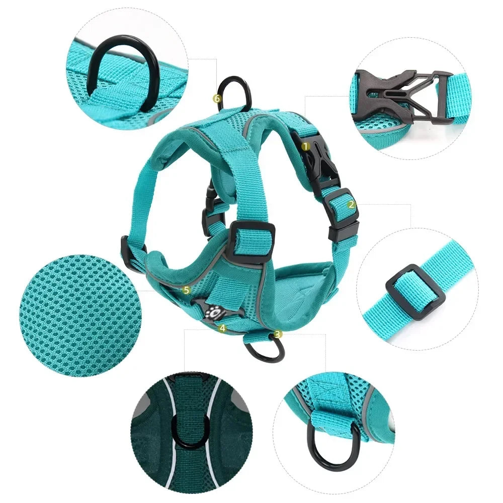 Reflective Harness & Leash Set — Small Dogs & Cats — photo 3