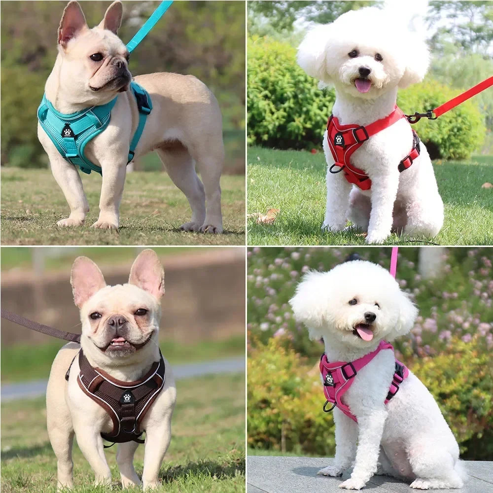 Reflective Harness & Leash Set — Small Dogs & Cats — photo 2