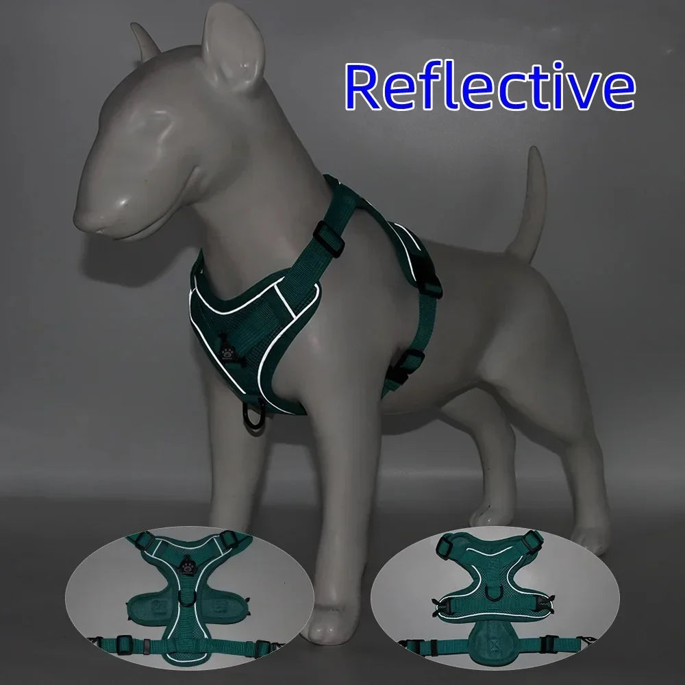 Reflective Harness & Leash Set — Small Dogs & Cats — photo 4