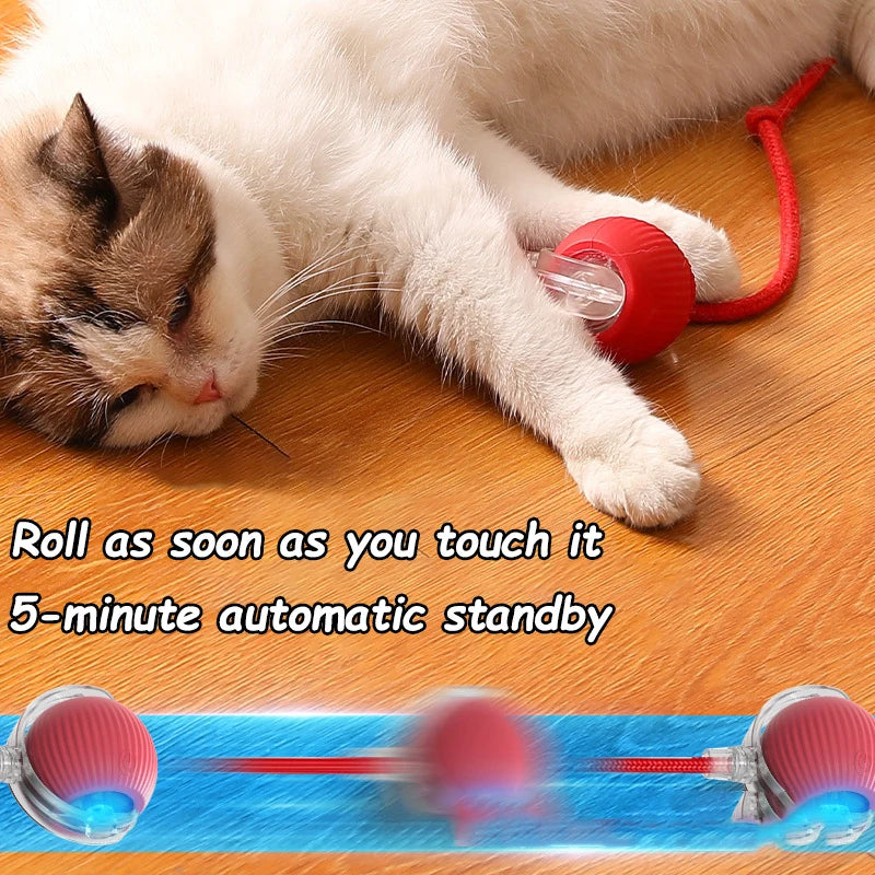 Smart Rolling Ball Cat Toy with Tail — photo 4