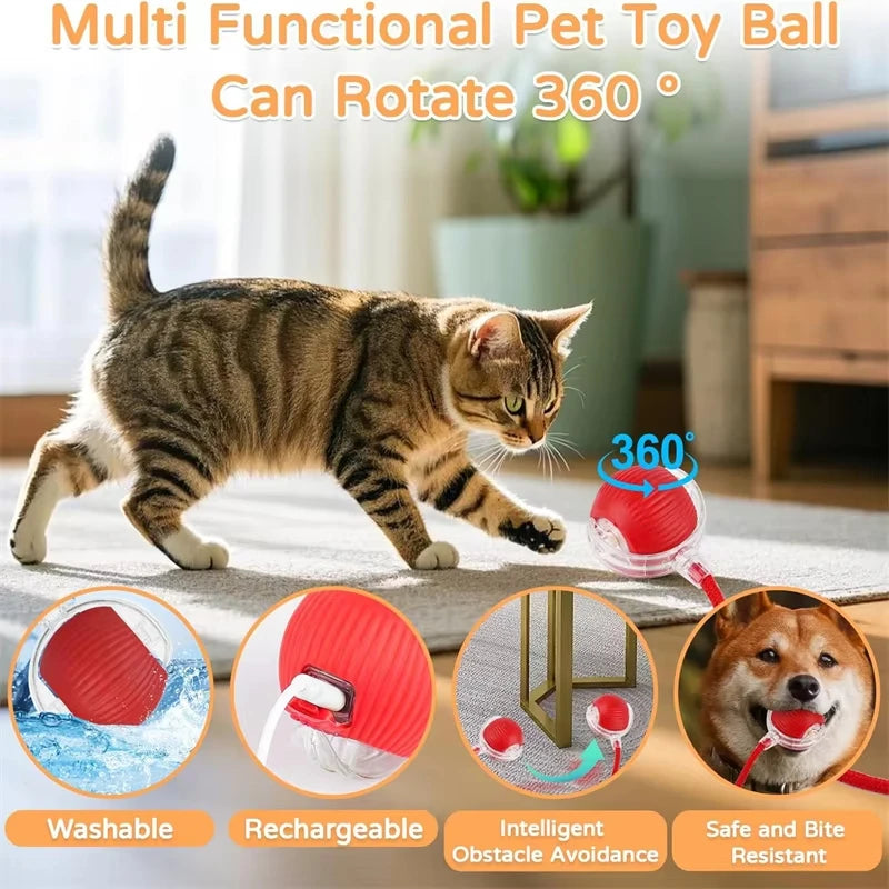 Smart Rolling Ball Cat Toy with Tail — photo 3