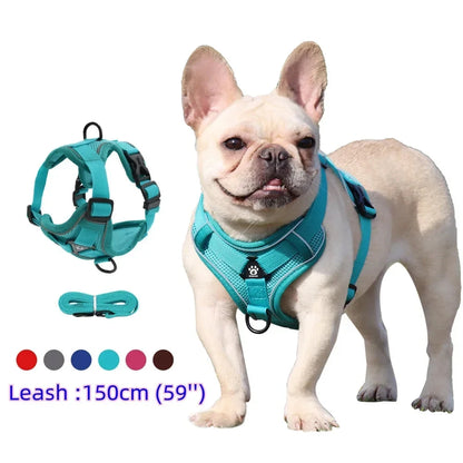 Reflective Harness & Leash Set — Small Dogs & Cats — photo 1