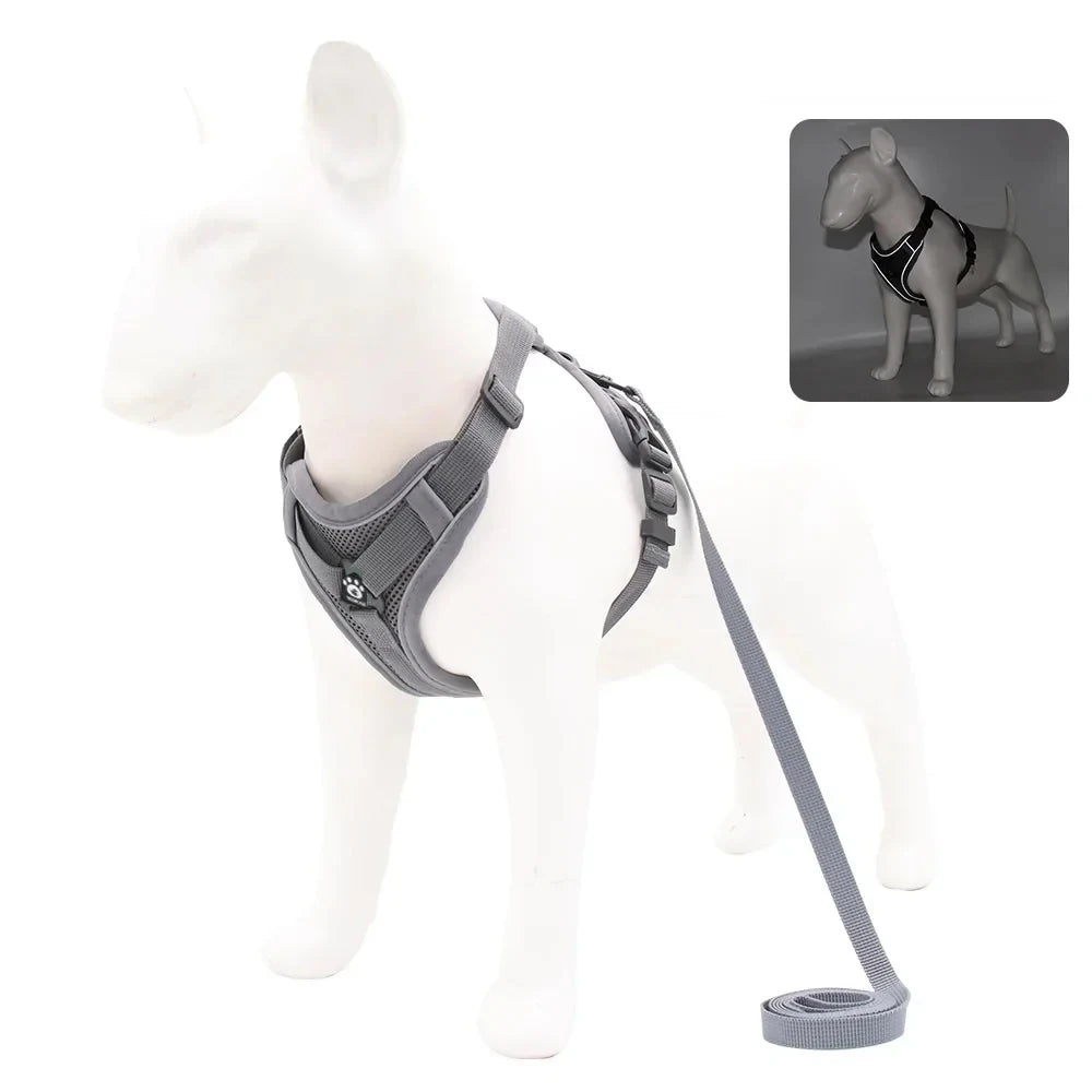 Reflective Harness & Leash Set — Small Dogs & Cats — photo 9