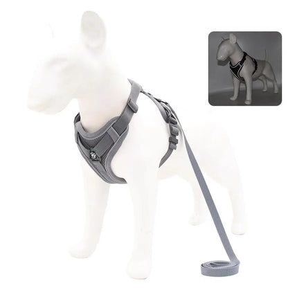 Reflective Harness & Leash Set — Small Dogs & Cats — photo 9