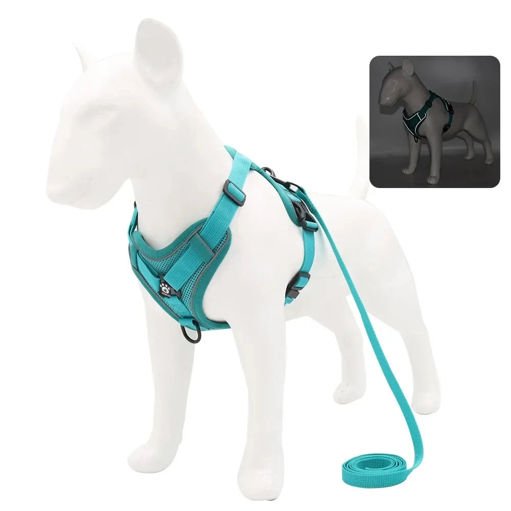 Reflective Harness & Leash Set — Small Dogs & Cats — photo 7