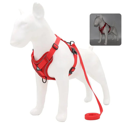 Reflective Harness & Leash Set — Small Dogs & Cats — photo 10
