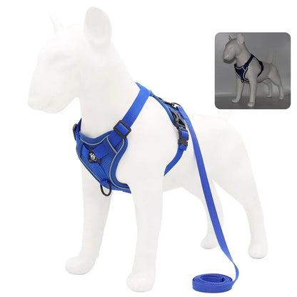 Reflective Harness & Leash Set — Small Dogs & Cats — photo 8
